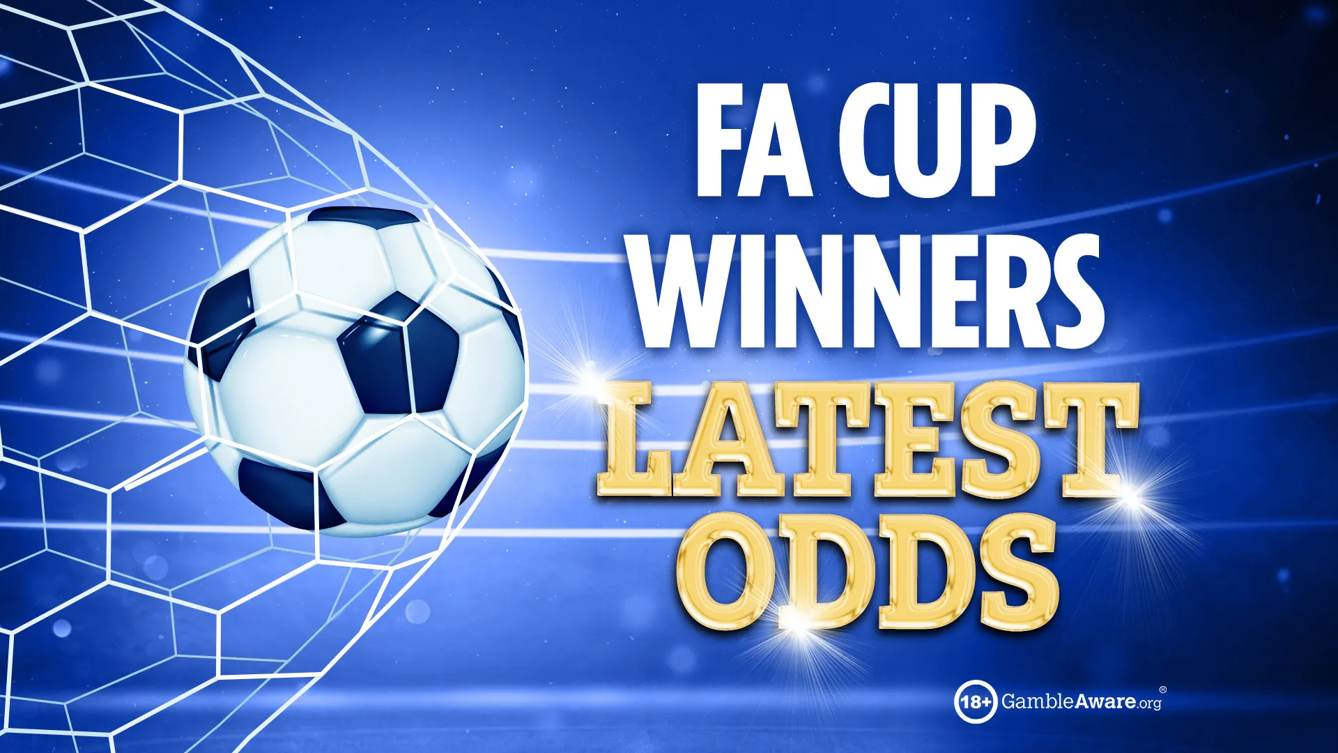 足球赔率网站界面截图与数据图表